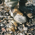 First boots on Morel Island