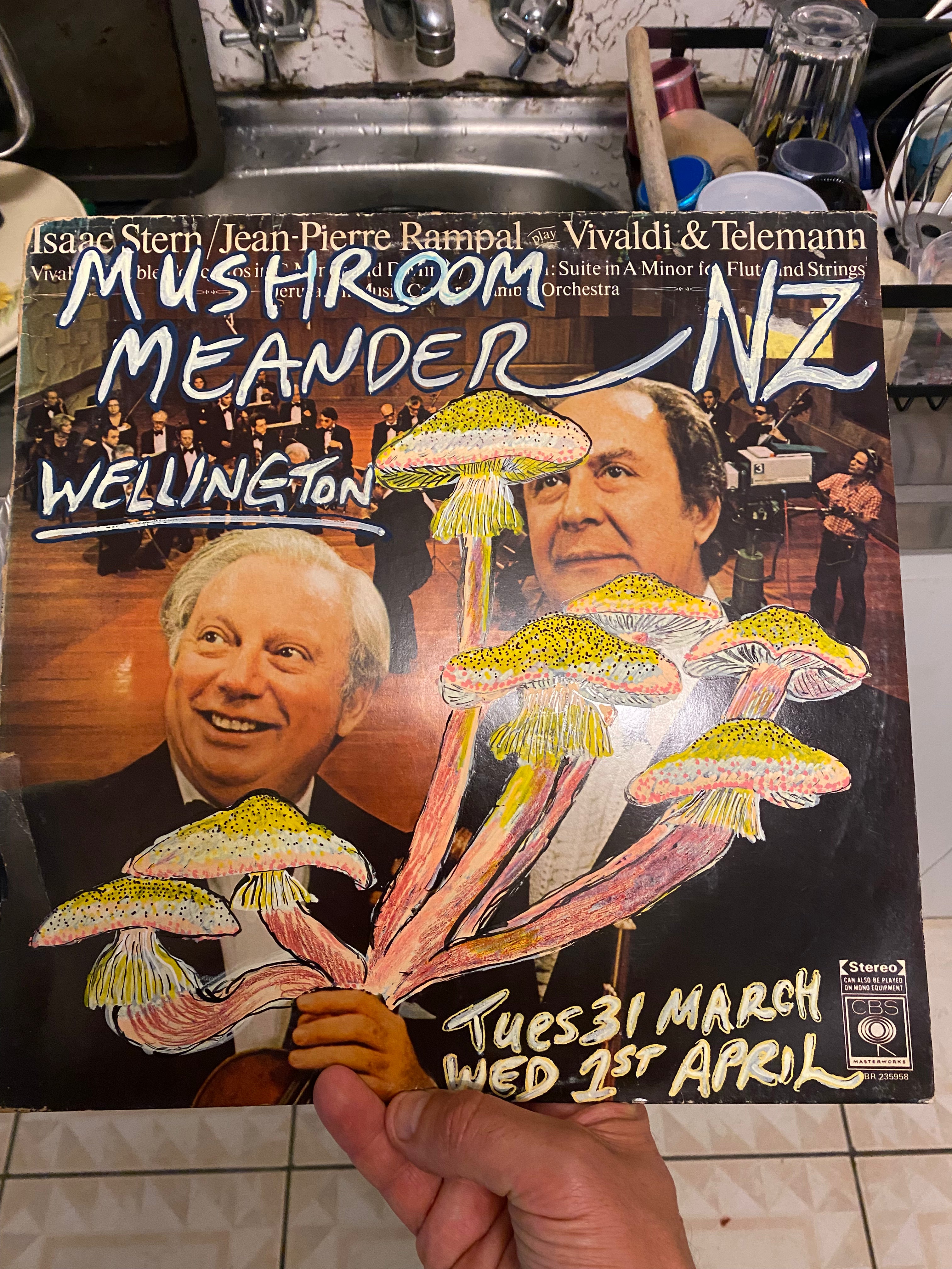 Mushroom Meander reimagined vinyl #2 (2026)