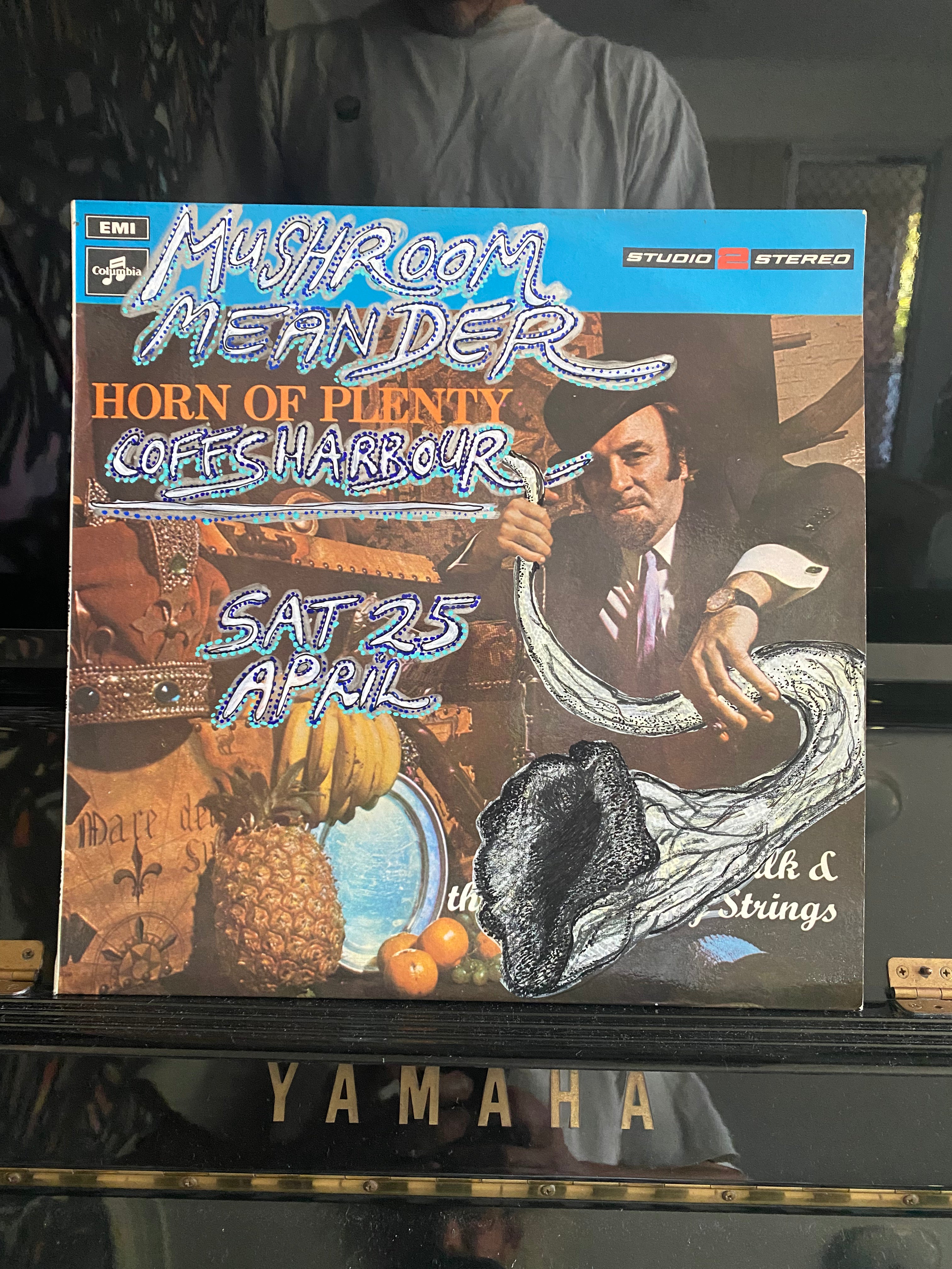 Mushroom Meander reimagined vinyl #3 (2026)