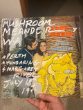 Mushroom Meander reimagined vinyl #6 (2026)