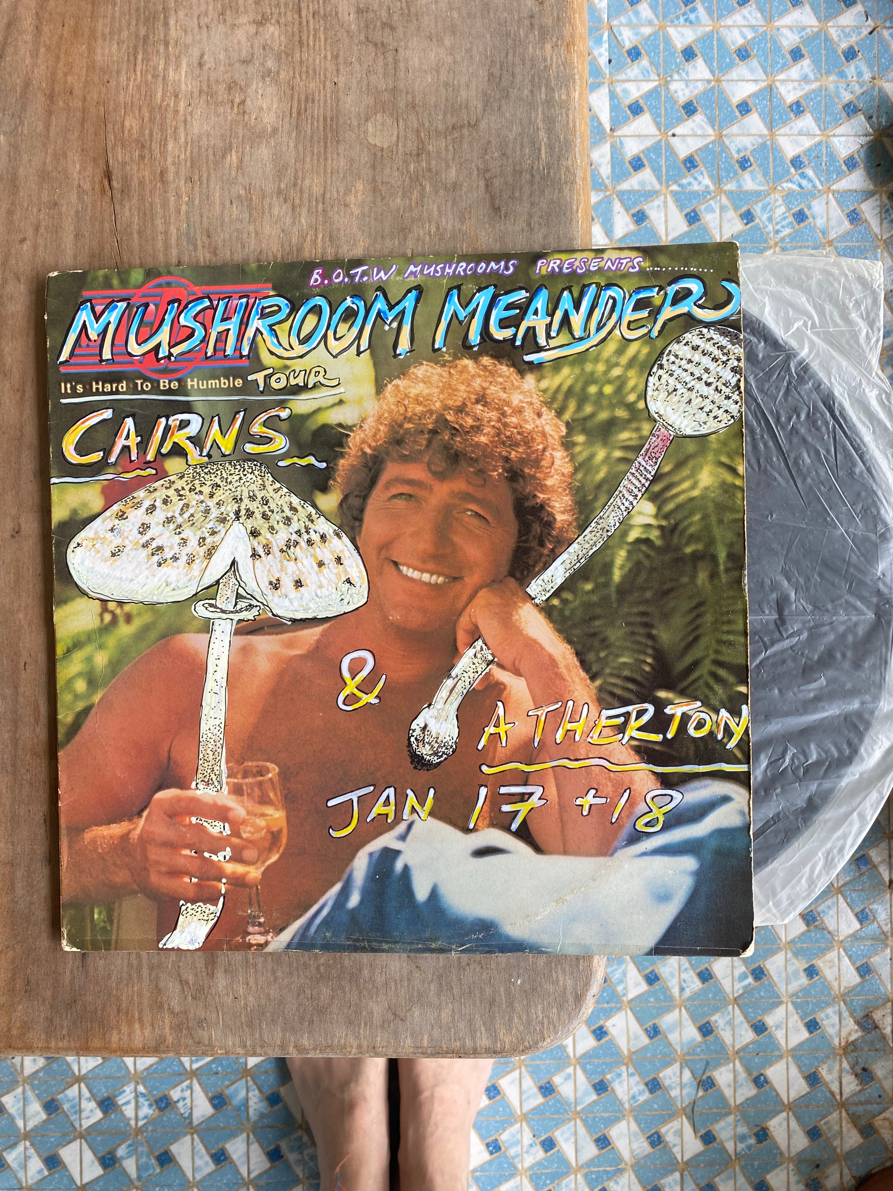 Mushroom Meander reimagined vinyl #7 (2026)