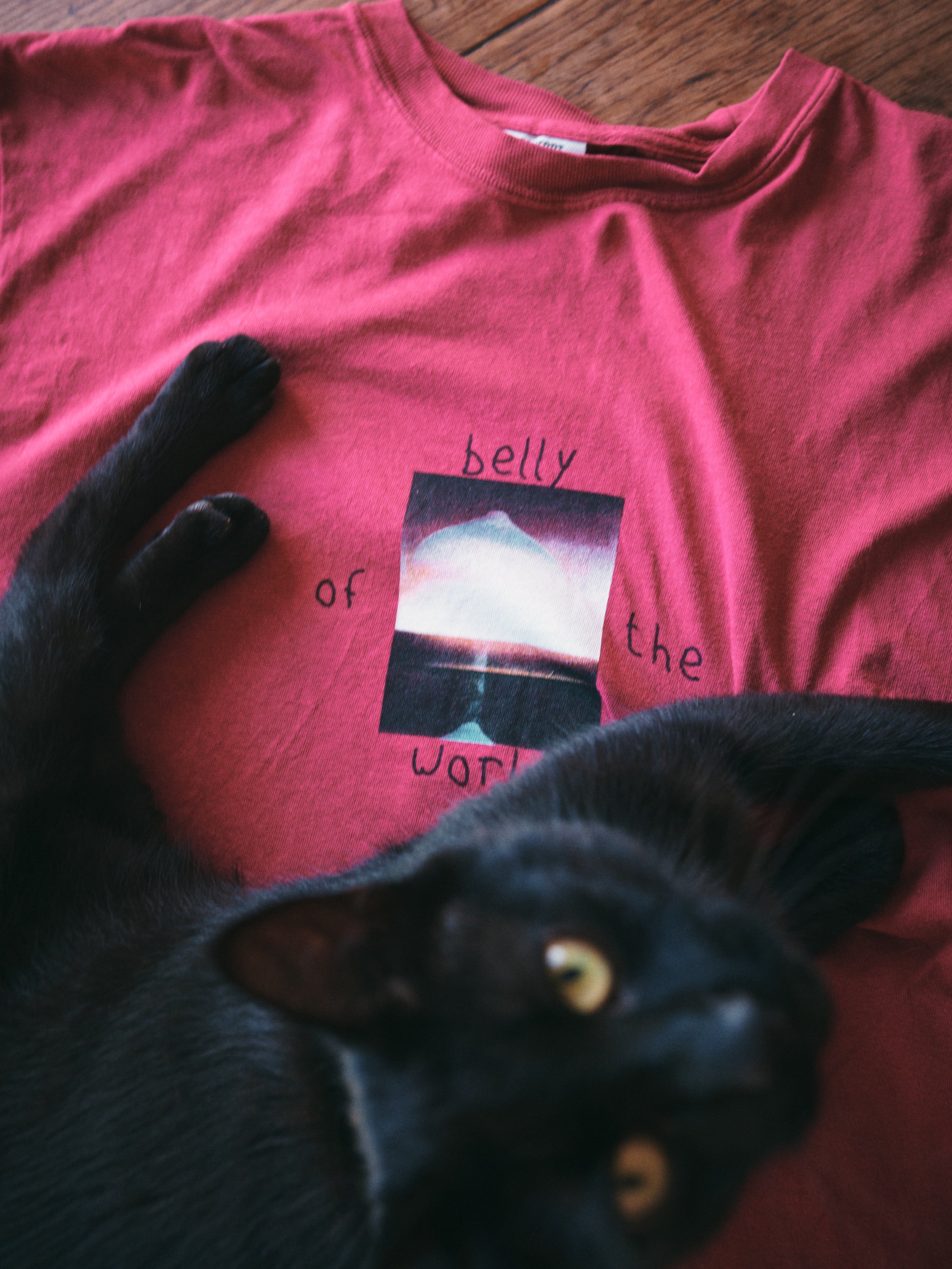 hello doli tee